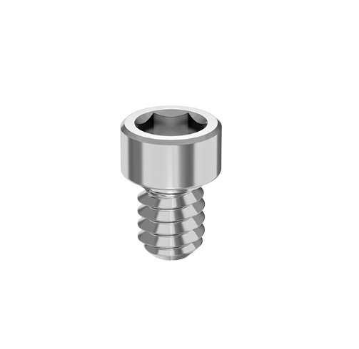 ARCSYS - TORNILLO P. FIJACION POTESIS ATORNILLADA