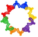 CUBETAS DE IMPRESION "COLOR" KIT (12)