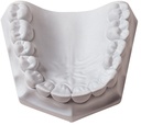 YESO W-MOUNTING PLASTER  (1LB)   (CI 330090)